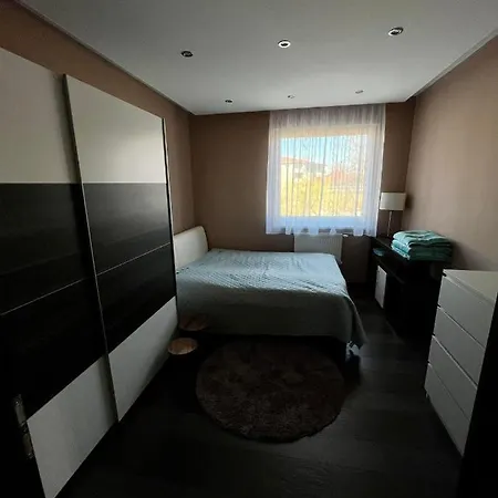 Apartament Big Forest Apartman