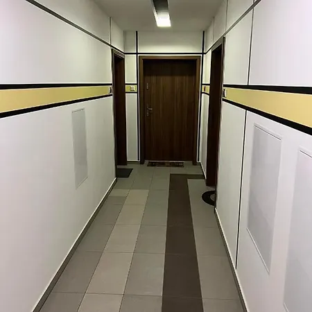 Big Forest Apartman
