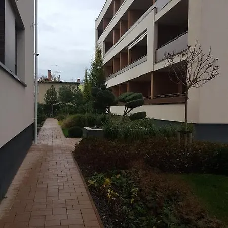 Apartment Big Forest Apartman