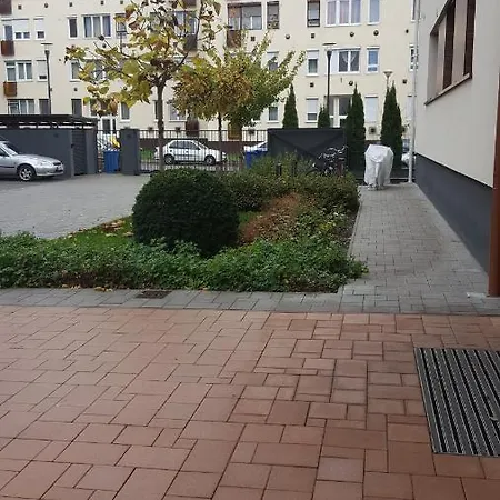 Big Forest Apartman Διαμέρισμα